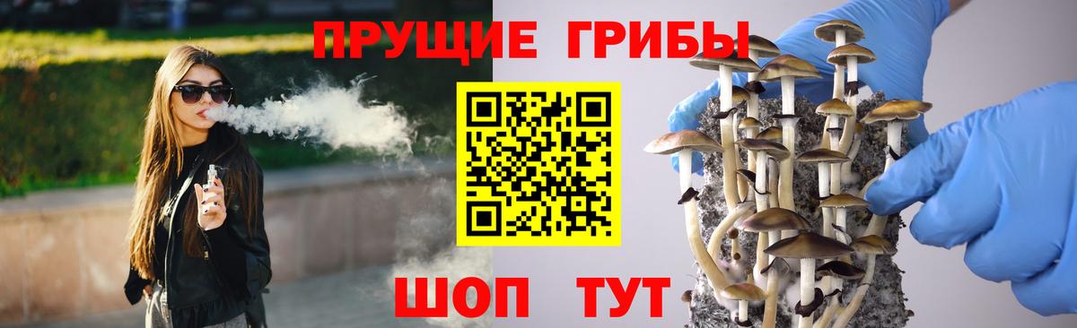 Псилоцибиновые грибы Cubensis  Вход с VPN  Славгород 